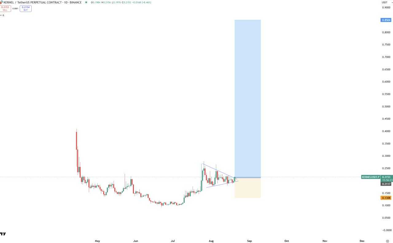 اماده رشد ۵۰۰ درصدی