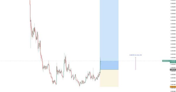 استراتژی موفق با سود برق ‌آسا