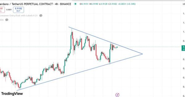 کاردانو (ADA)