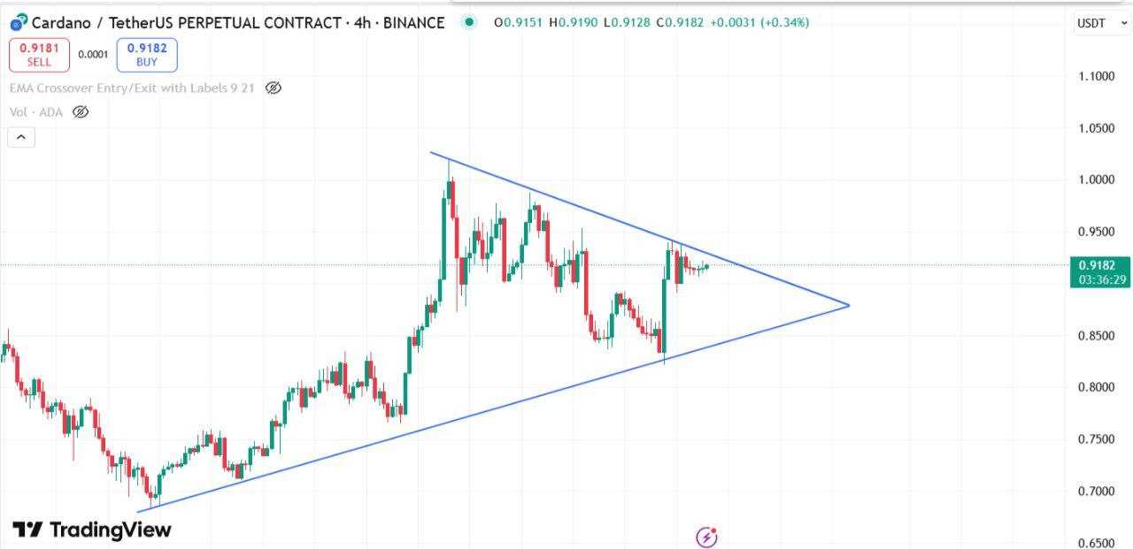 کاردانو (ADA)