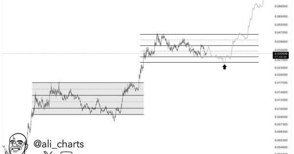 آماده تکرار تاریخ در میم کوین وحشی