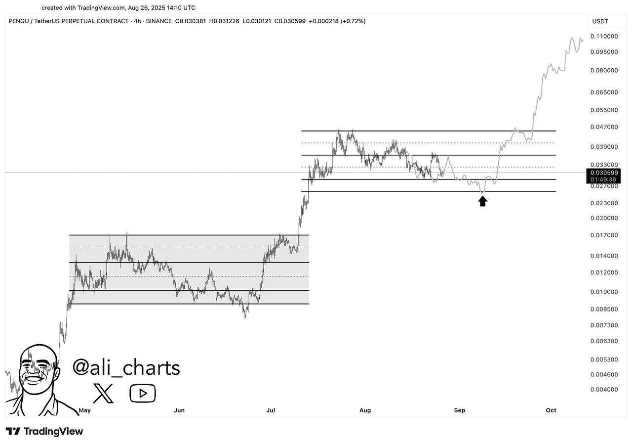 آماده تکرار تاریخ در میم کوین وحشی