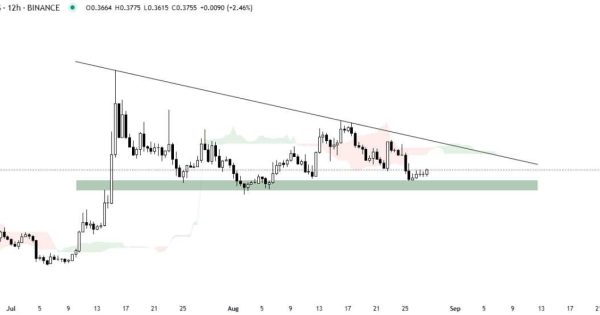 ورود روی حمایت