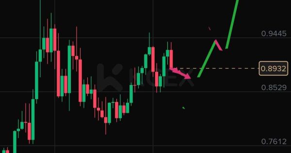 مبارزه کاردانو برای صعود