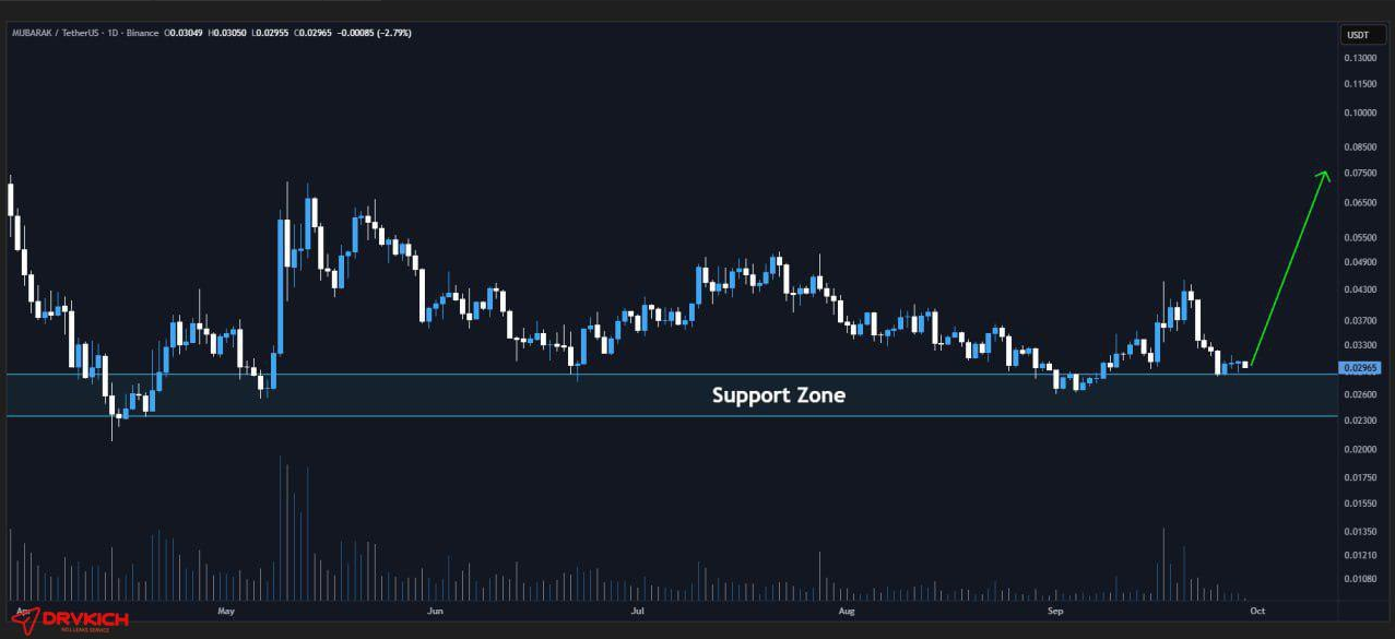 میم کوین پامپی