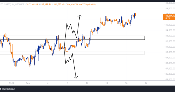 لانگ بعد از برگشت