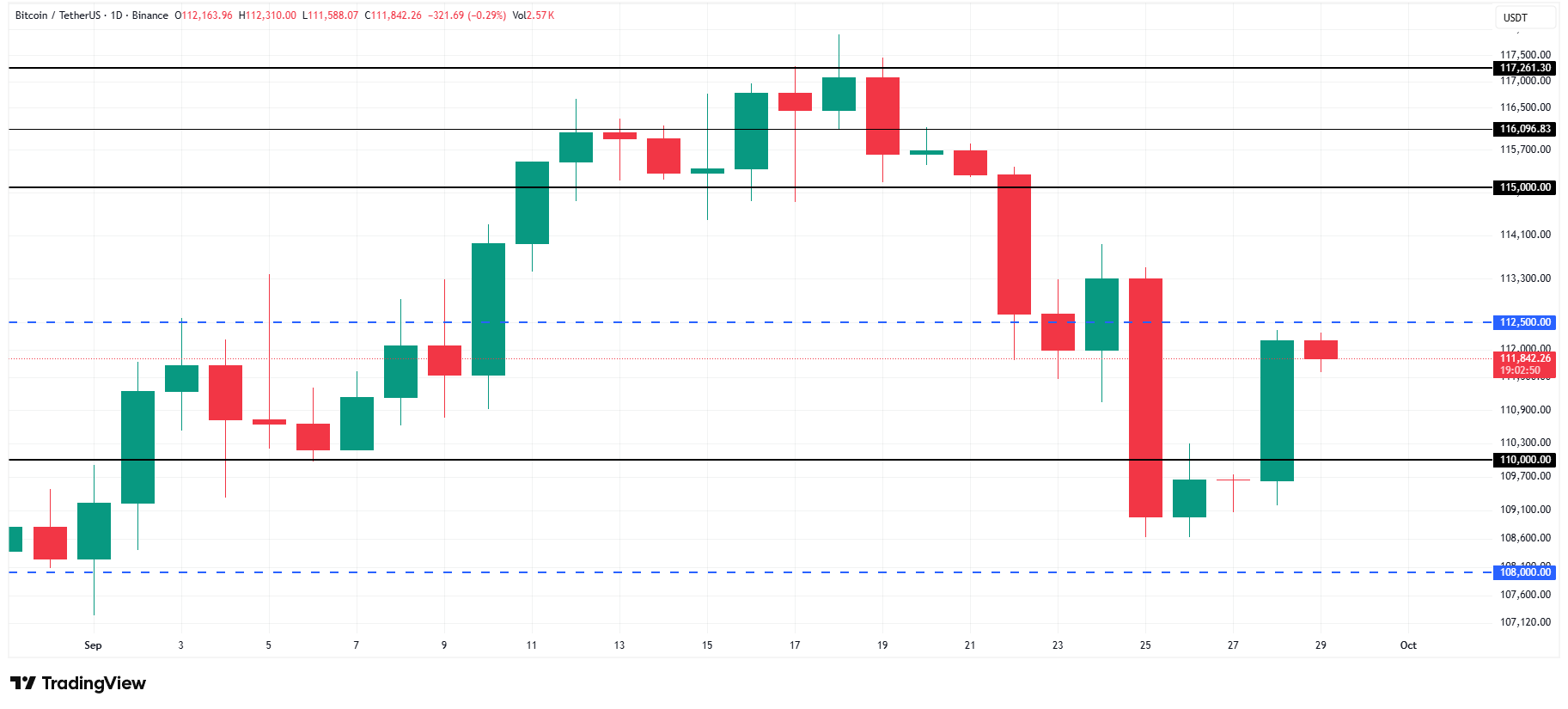 تحلیل BTC – تایم‌فریم روزانه