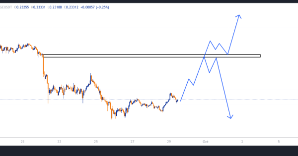 دوج کوین (DOGE)