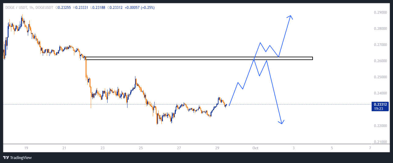 دوج کوین (DOGE)
