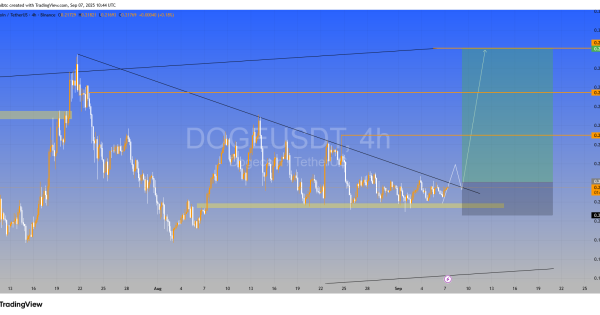 دوج کوین (DOGE)