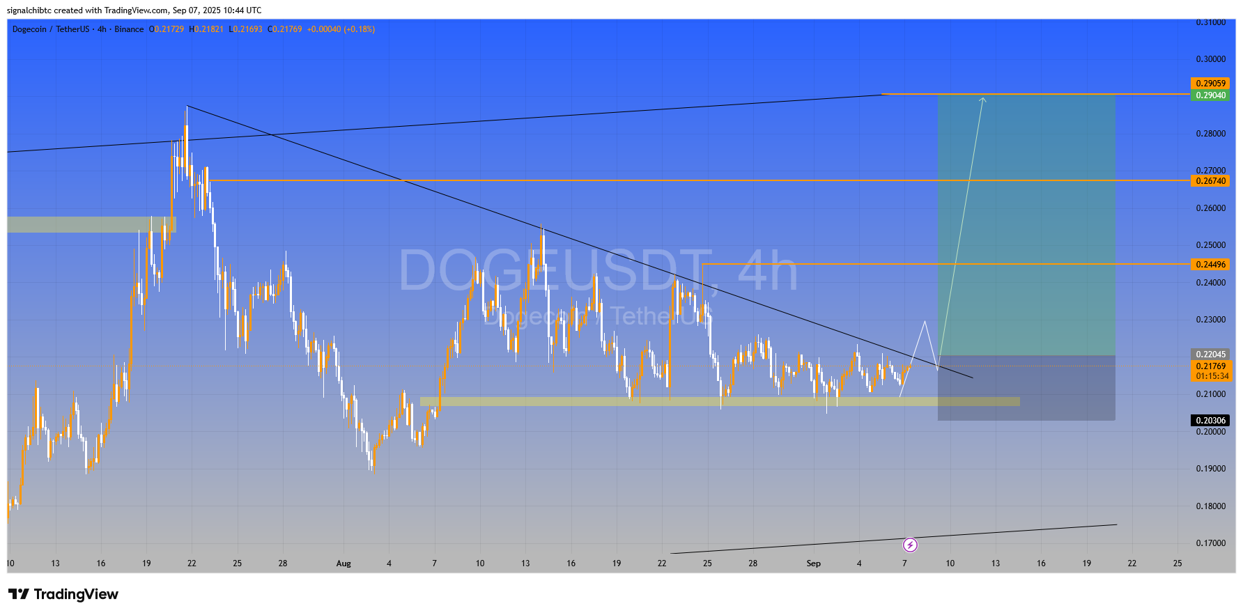دوج کوین (DOGE)