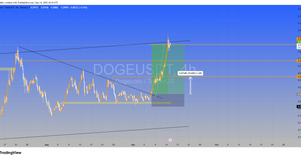 دوج کوین DOGE