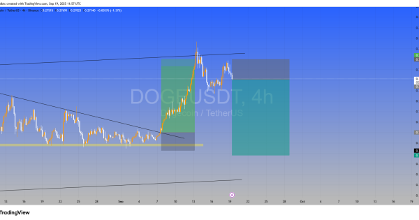 شورت دوج کوین