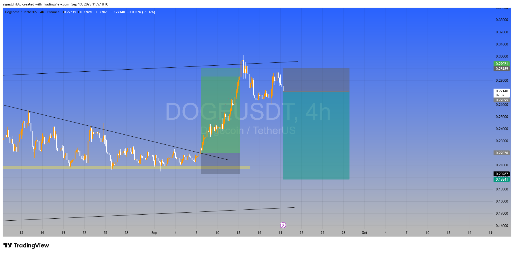 شورت دوج کوین