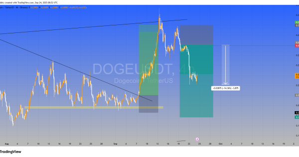 دوج کوین (DOGE)