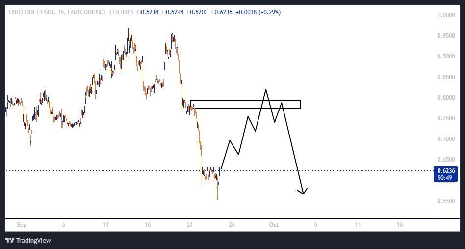 میم کوین پر سود