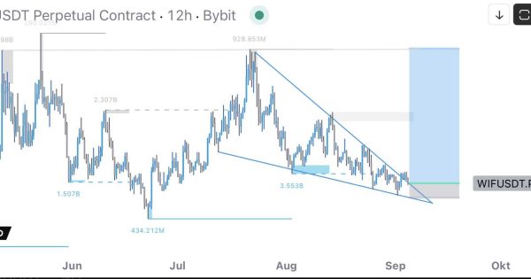 میم کوین پروازی