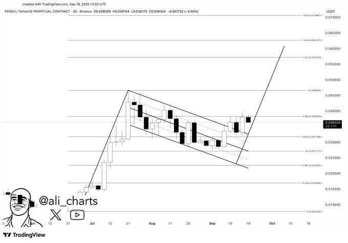 میم کوین آماده پرواز