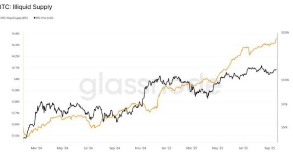 تحلیل آنچین بیت کوین