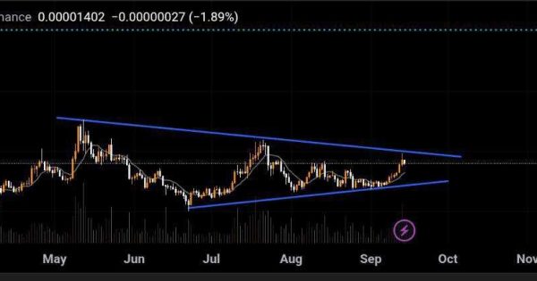 شیبا ترند رو بشکنه کم کم میره واسه تارگت مشخص شده🚀⚡️