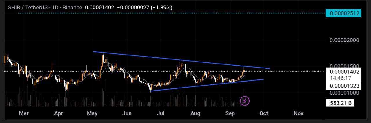 شیبا ترند رو بشکنه کم کم میره واسه تارگت مشخص شده🚀⚡️