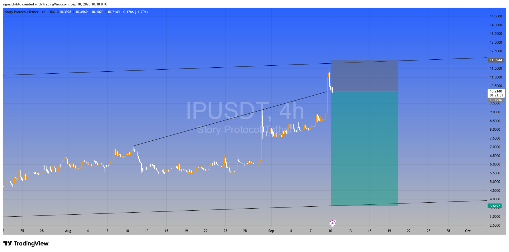 سوار موج خرسی شو