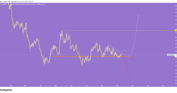 رالی رویایی یا تله؟