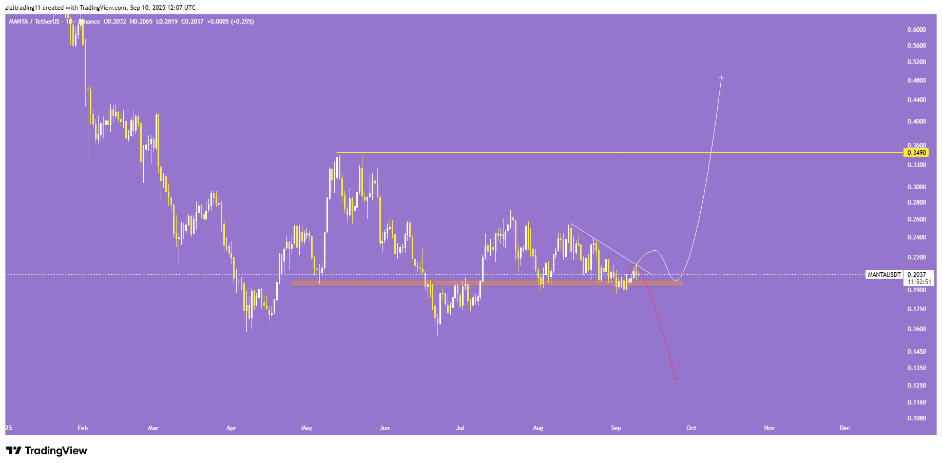 رالی رویایی یا تله؟