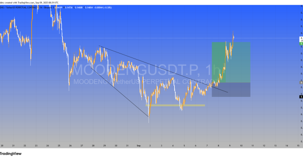 میم کوین پولساز