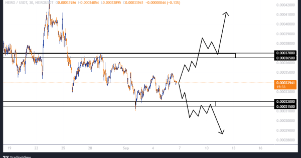 میم کوین NEIRO