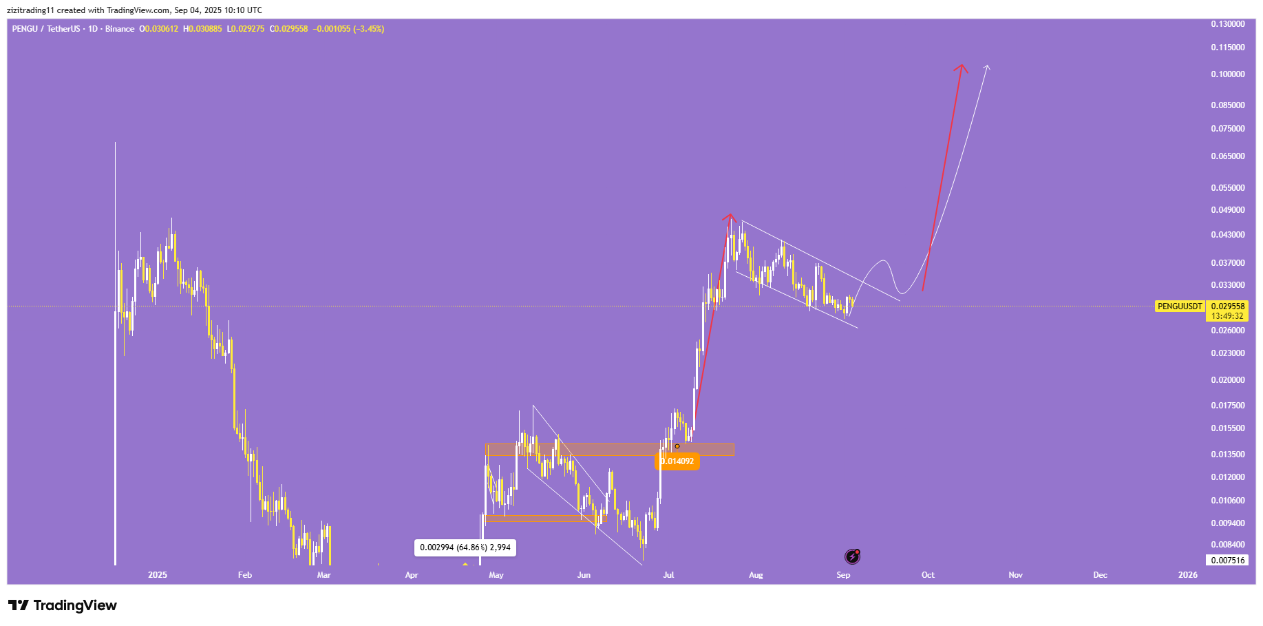 میم کوین پروازی