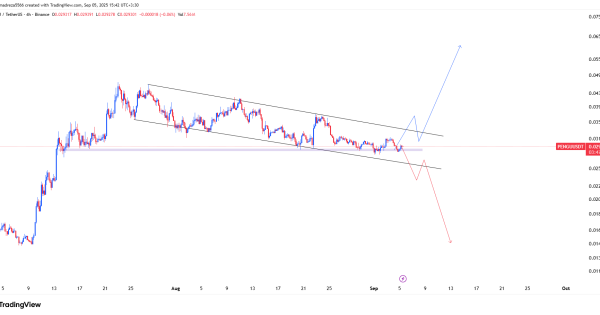 میم کوین وحشی در مرز تصمیم گیری