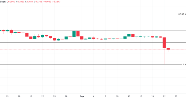 تحلیل (پای نتورک)  PI – روزانه