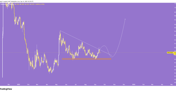 میم کوین پروازی