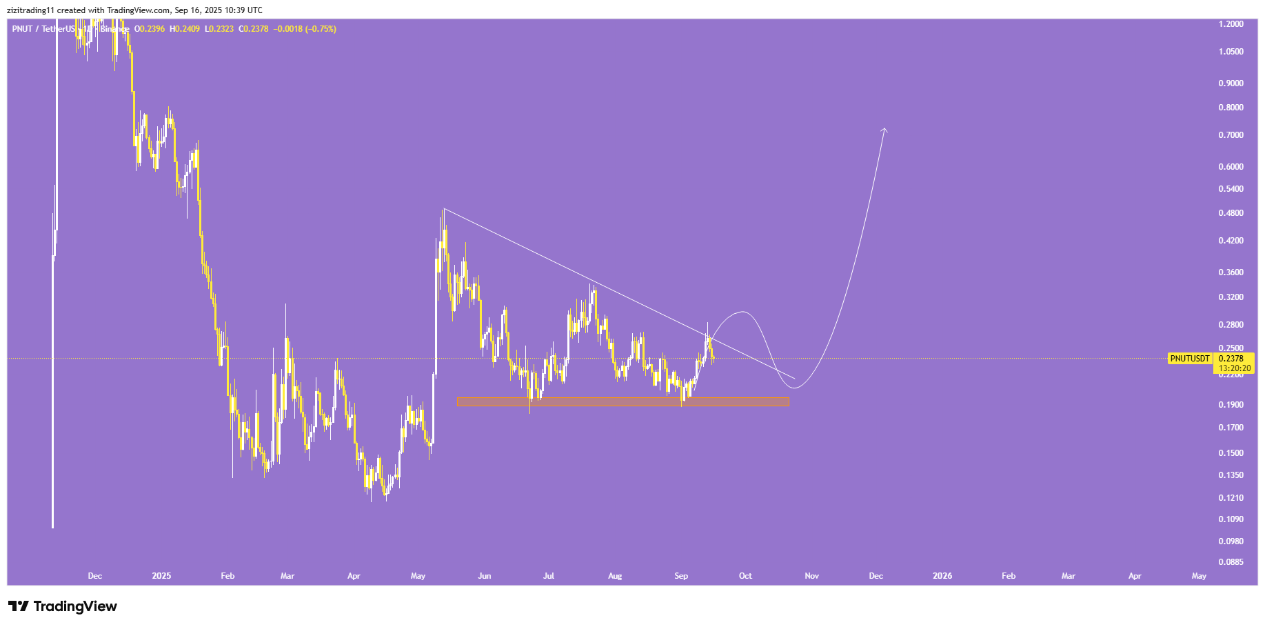 میم کوین پروازی