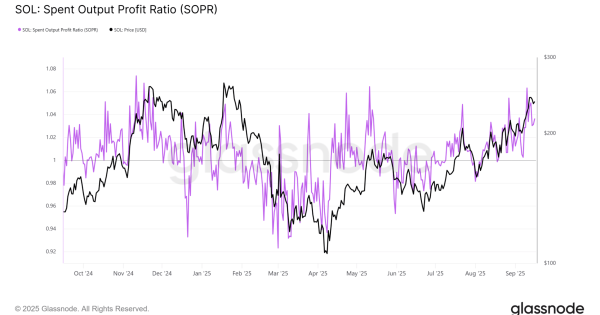سولانا با طعم آنچین