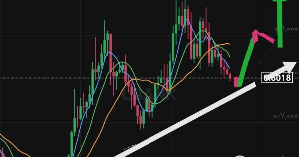 کاردانو همچنان در روند صعودی