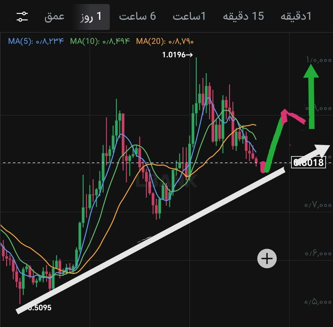 کاردانو همچنان در روند صعودی