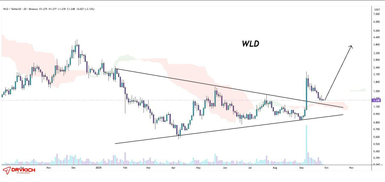 رالی پرقدرت WLD تو راهه