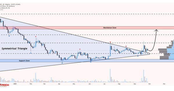 در مسیر تارگت‌های رویایی