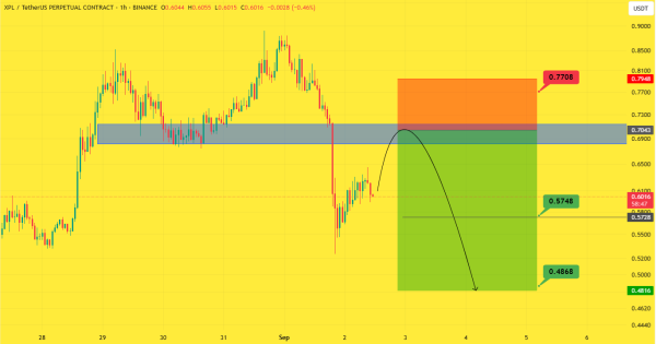 سود ۳۱۰ درصدی