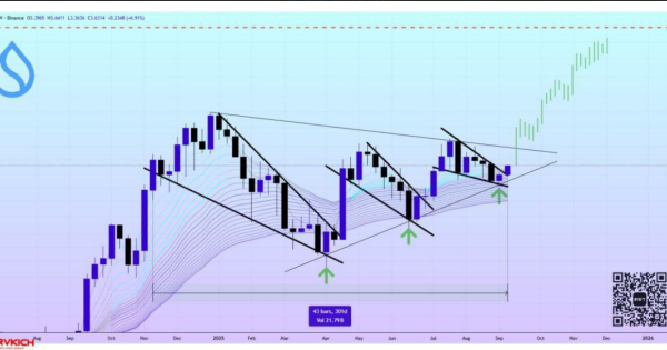 بهترین ارز برای سرمایه گذاری چیه؟