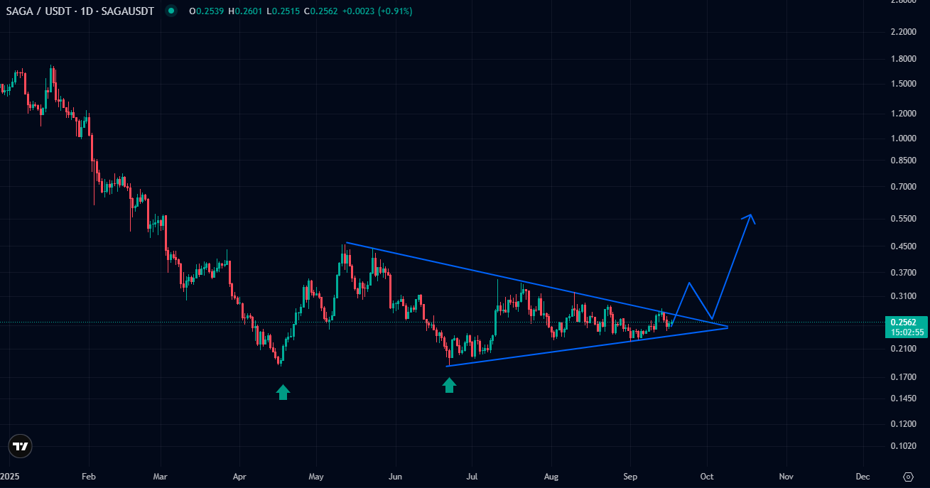 بهترین نقطه ورود