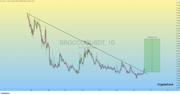 میم کوینی که میخواد صفر کم کنه