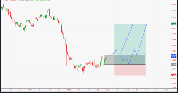 ارز آماده پامپ