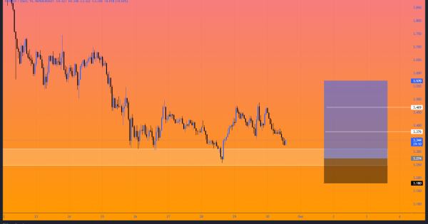 فرصت لانگ از حمایت مهم