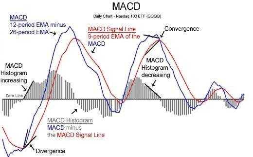 مهمترین اندیکاتور