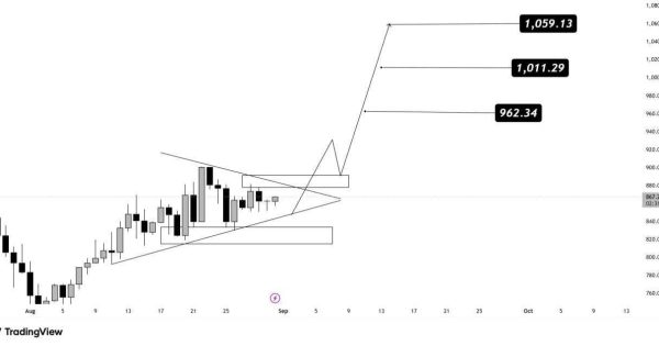 آیا این ارز به ۱۰۰۰ دلار میرسه؟
