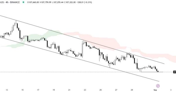 نشونه های از ریزش بیشتر قیمت