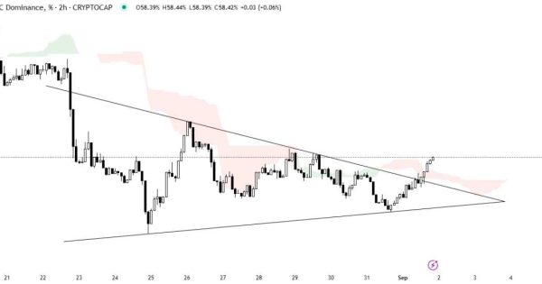 آلت‌کوین ‌ها تو صف ریزشن